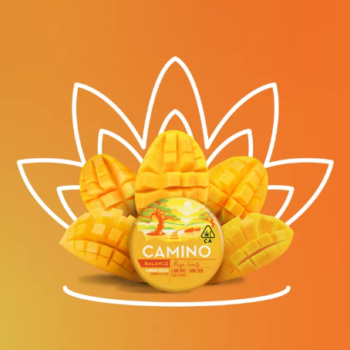 5mg: 5mg CBD 'Balance' Mango Serenity