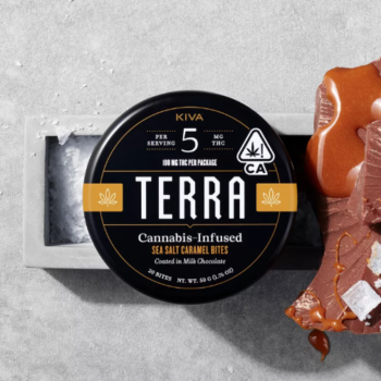 Sea Salt Caramel Terra Bites